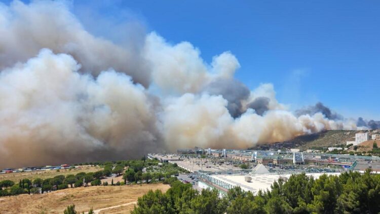 Massive Marseille Blaze Engulfs 750 Hectares Before Accidental Cause Revealed