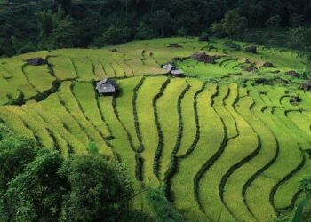 Le dynamisme phénoménal du Vietnam : les clés du succès selon Yann Frollo