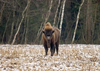 Week-end du 15 août : un retour massif des vacanciers attendu sur les routes d’Île-de-France