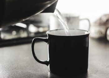 Rejoignez l’aventure : L’Alliance pour les technologies des langues cherche son nouveau directeur passionné !