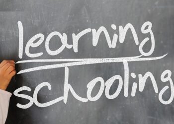 Comment les ménages français et européens ont transformé leur quotidien grâce aux technologies de l’information en 2012