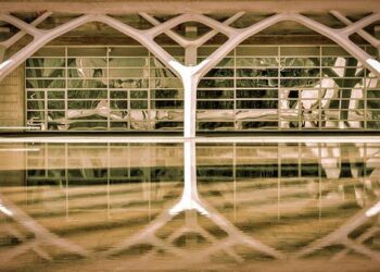 Quand l’art sublime la science : découvrez la magie fascinante de la transparence