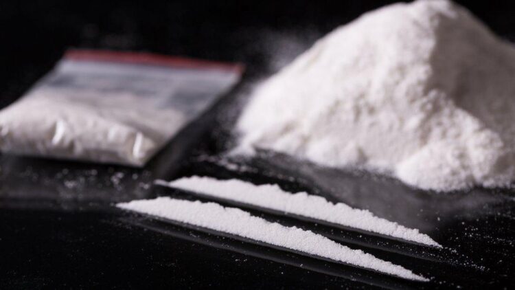 Massive Drug Bust Near Bordeaux: Over a Ton of Cocaine Seized Massive Drug Bust Near Bordeaux: Over a Ton of Cocaine Seized