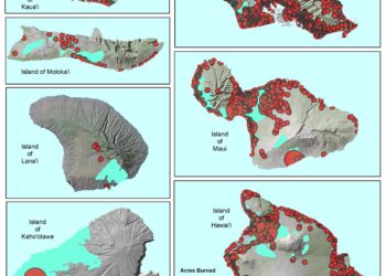 Stay Updated: Real-Time Map and Live Coverage of the Marseille Wildfire