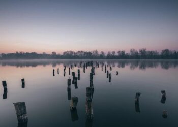 Soirée entre filles à Toulouse : une fête dégénère en drame avec un coup de couteau entre lycéennes