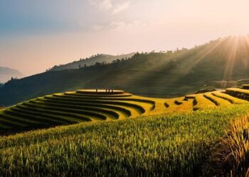 Noisy-le-Sec annule la projection de « Barbie » face à la mobilisation des habitants