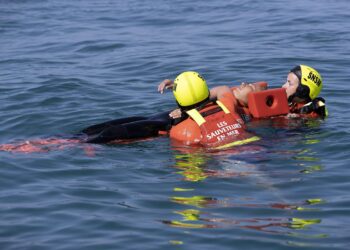 Héros malgré lui : un homme se noie en tentant de sauver son chien près de Lyon