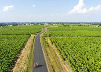 From Nantes Vineyards to National Spotlight: Isaure Named France’s Top Photography Apprentice