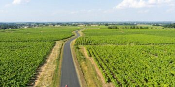 From Nantes Vineyards to National Spotlight: Isaure Named France’s Top Photography Apprentice From Nantes Vineyards to National Spotlight: Isaure Named France’s Top Photography Apprentice