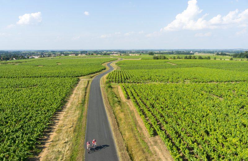 From Nantes Vineyards to National Spotlight: Isaure Named France’s Top Photography Apprentice