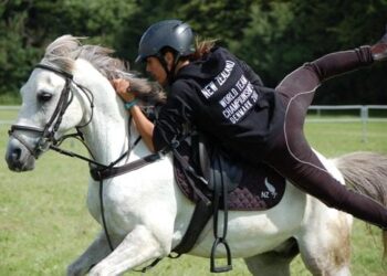 Des poneys, de l’adresse et de la vitesse : le championnat du monde s’anime en Maine-et-Loire !
