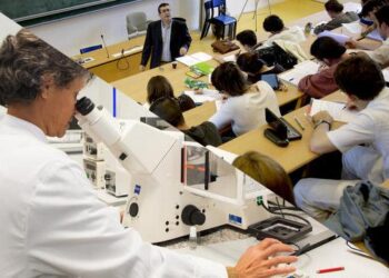 Sept enseignants-chercheurs de l’université Lyon 1 récompensés pour leur excellence académique