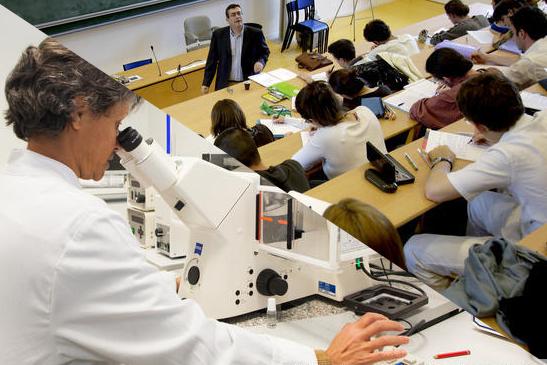 Sept enseignants-chercheurs de l’université Lyon 1 récompensés pour leur excellence académique