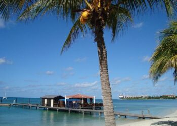 Sur l’île de Nantes, un futur parc de Loire : doit-il rester fermé la nuit ou s’ouvrir comme celui de Beaulieu ?