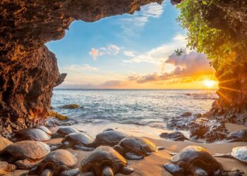 Nice’s Ocean Commitments: Charting an Ambitious Course for a Sustainable Future