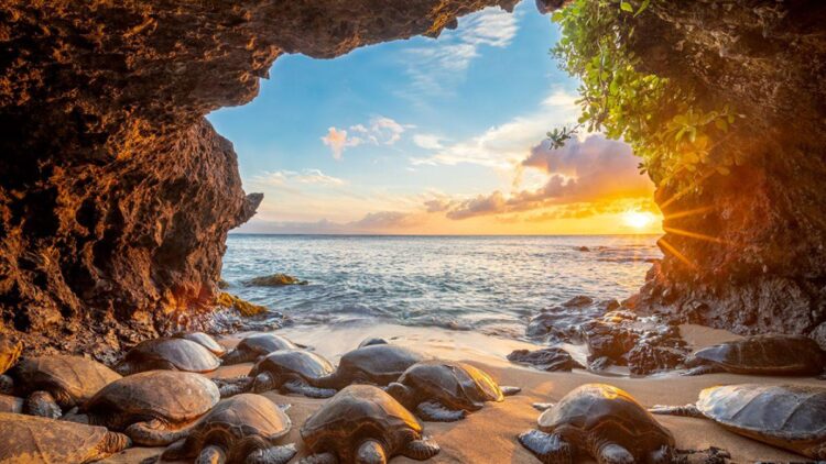 Nice’s Ocean Commitments: Charting an Ambitious Course for a Sustainable Future