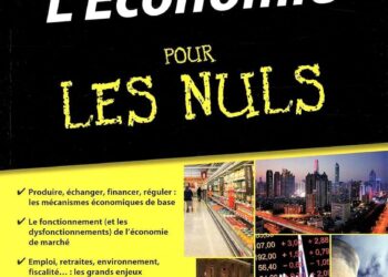 La France à l’arrêt : quand l’économie s’enraye et freine son élan