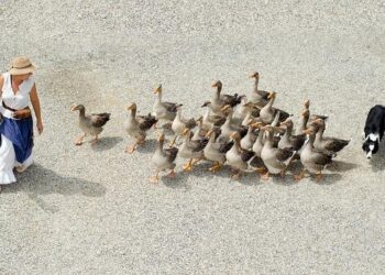 Découvrez toutes les nouveautés incontournables de la rentrée 2025 !