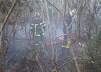 Quatre hectares de végétation ravagés près de Nantes : le feu maîtrisé, mais la vigilance reste essentielle