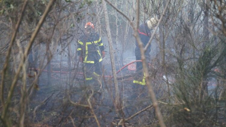 Quatre hectares de végétation ravagés près de Nantes : le feu maîtrisé, mais la vigilance reste essentielle