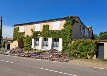 Fire Breaks Out Between Nantes and Clisson, Bringing TER Traffic to a Standstill This Monday