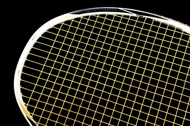 Colloque : Plongez au cœur du badminton avec Business France – Sport Business Club
