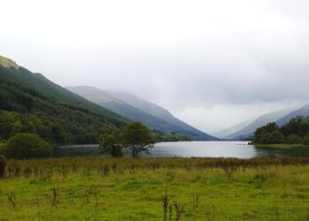 French Sailing Youth Championship in Martigues: A Fosséenne and Several Marseillais Take Home Gold!