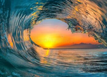 Participez au Sommet mondial des océans à Nice : devenez bénévole dès aujourd’hui !