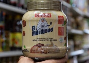 Dix tonnes de pâte à tartiner algérienne saisies au port de Marseille : une importante interdiction dévoilée