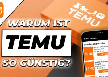 Temu s’envole : la plateforme e-commerce qui séduit toute la France