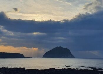 OL-OM à Lyon : des mesures strictes pour maîtriser les supporters marseillais OL-OM à Lyon : des mesures strictes pour maîtriser les supporters marseillais