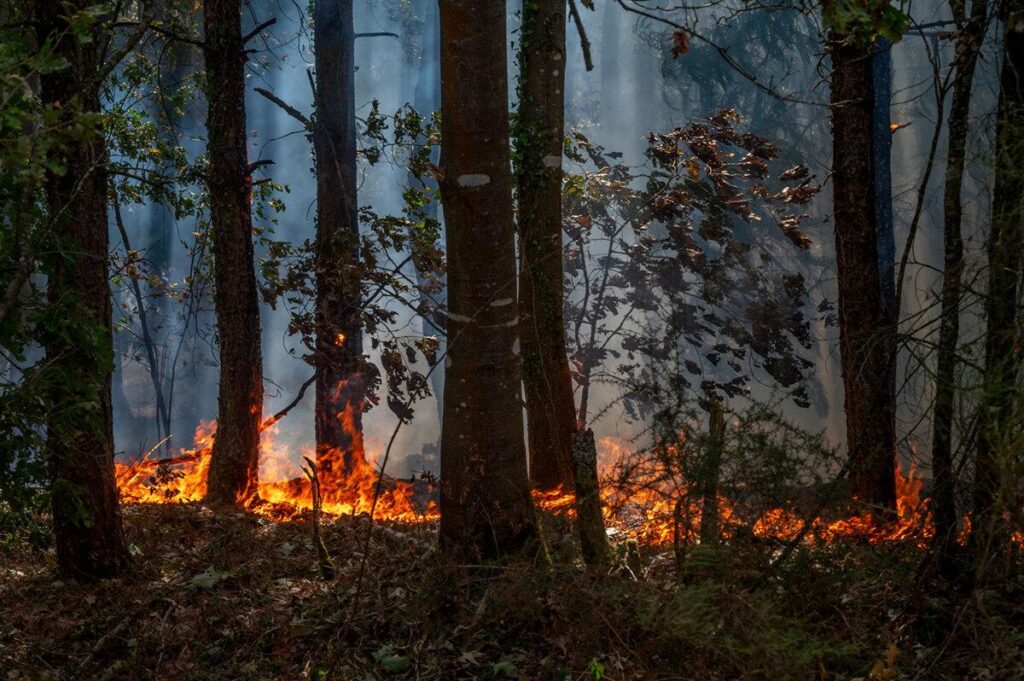 Incendies dans le sud de la France : feux maîtrisés, mais vigilance toujours de mise Incendies dans le sud de la France : feux maîtrisés, mais vigilance toujours de mise