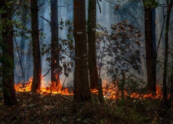 Incendies dans le sud de la France : feux maîtrisés, mais vigilance toujours de mise