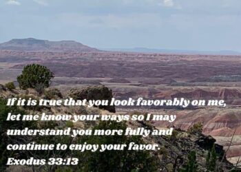 Un rare grand migrateur menacé d’extinction s’installe au cœur de la forêt de Fontainebleau