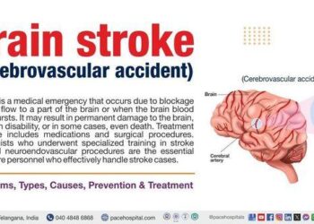 Attaque à Marseille : la Tunisie choque en prenant la défense de l’assaillant