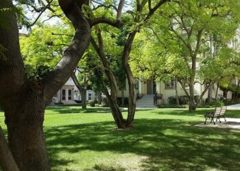 Paramount et Gaumont s’unissent pour révolutionner la distribution de films en DVD en France