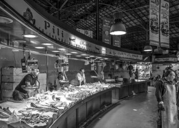 Découvrez les secrets fascinants de la capture des poissons – épisode 3/5 du podcast Daniel Pauly, la voix de l’océan