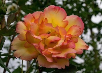 A Palme d’Or and 23 Films: ARTE Lights Up the 78th Cannes Festival!