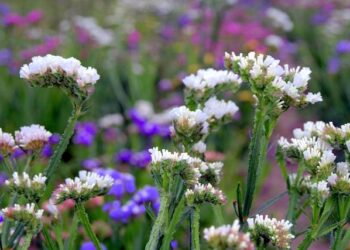 Attention : grosses perturbations annoncées pour le 10 septembre 2025 !