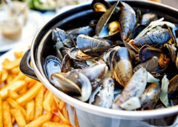 Savourez les délicieuses moules frites à la grande braderie de Lille !