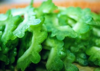 Chantal Goya et son époux condamnés à verser 2,18 millions d’euros au Crédit Municipal de Bordeaux