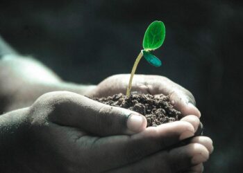 L’écologie : la clé indispensable pour préserver notre avenir