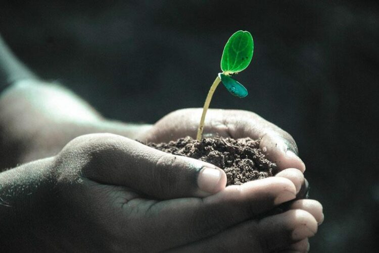 L’écologie : la clé indispensable pour préserver notre avenir L’écologie : la clé indispensable pour préserver notre avenir