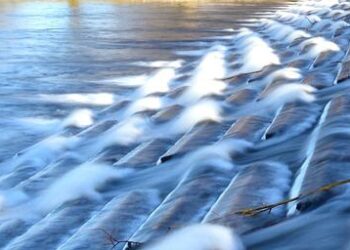 Inside France’s « Block Everything » Movement: Striking Photos of Barricades, Protests, and Unrest