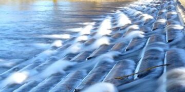 Inside France’s « Block Everything » Movement: Striking Photos of Barricades, Protests, and Unrest Inside France’s « Block Everything » Movement: Striking Photos of Barricades, Protests, and Unrest