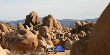 Joshua Zarka: Pioneering the Future of Radio Broadcasting Joshua Zarka: Pioneering the Future of Radio Broadcasting