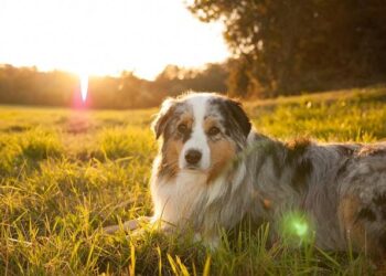 Karine Berger : « En France, on peut insulter la science sans que ça dérange » devient : « En France, insulter la science ne choque plus personne », déplore Karine Berger Karine Berger : « En France, on peut insulter la science sans que ça dérange » devient : « En France, insulter la science ne choque plus personne », déplore Karine Berger