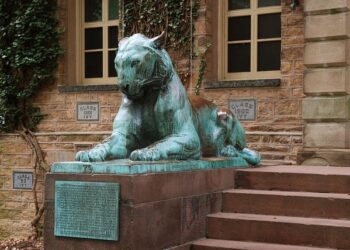 Explore Bordeaux’s Top Higher Education Schools: Find Your Perfect Fit!