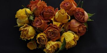 Olav Kooij Brille au Grand Prix d’Isbergues 2025 : Une Victoire Historique en Coupe de France de Cyclisme Olav Kooij Brille au Grand Prix d’Isbergues 2025 : Une Victoire Historique en Coupe de France de Cyclisme