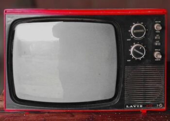 Violente manifestation à Lyon le 18 septembre : un journaliste et plusieurs policiers blessés